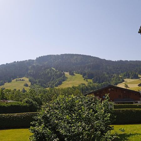 Studio Praz Sur Arly Apartment Exterior foto